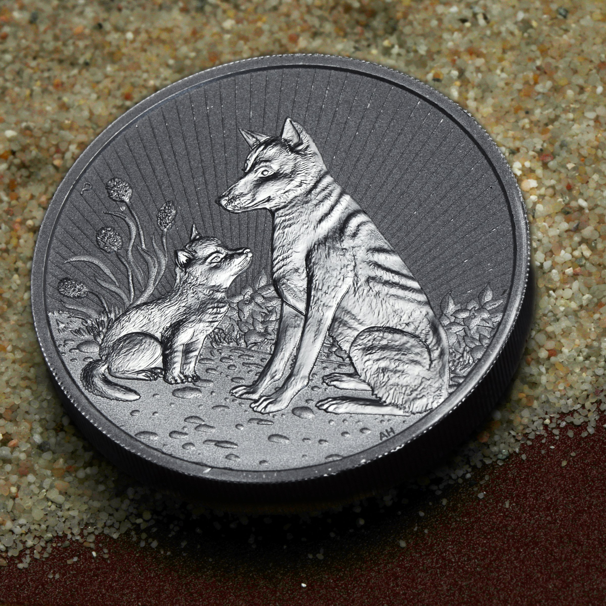 Silbermünze 2oz "Mother & Baby Dingo 2022" Next Generation diff. (Australien) - Detailansicht 4
