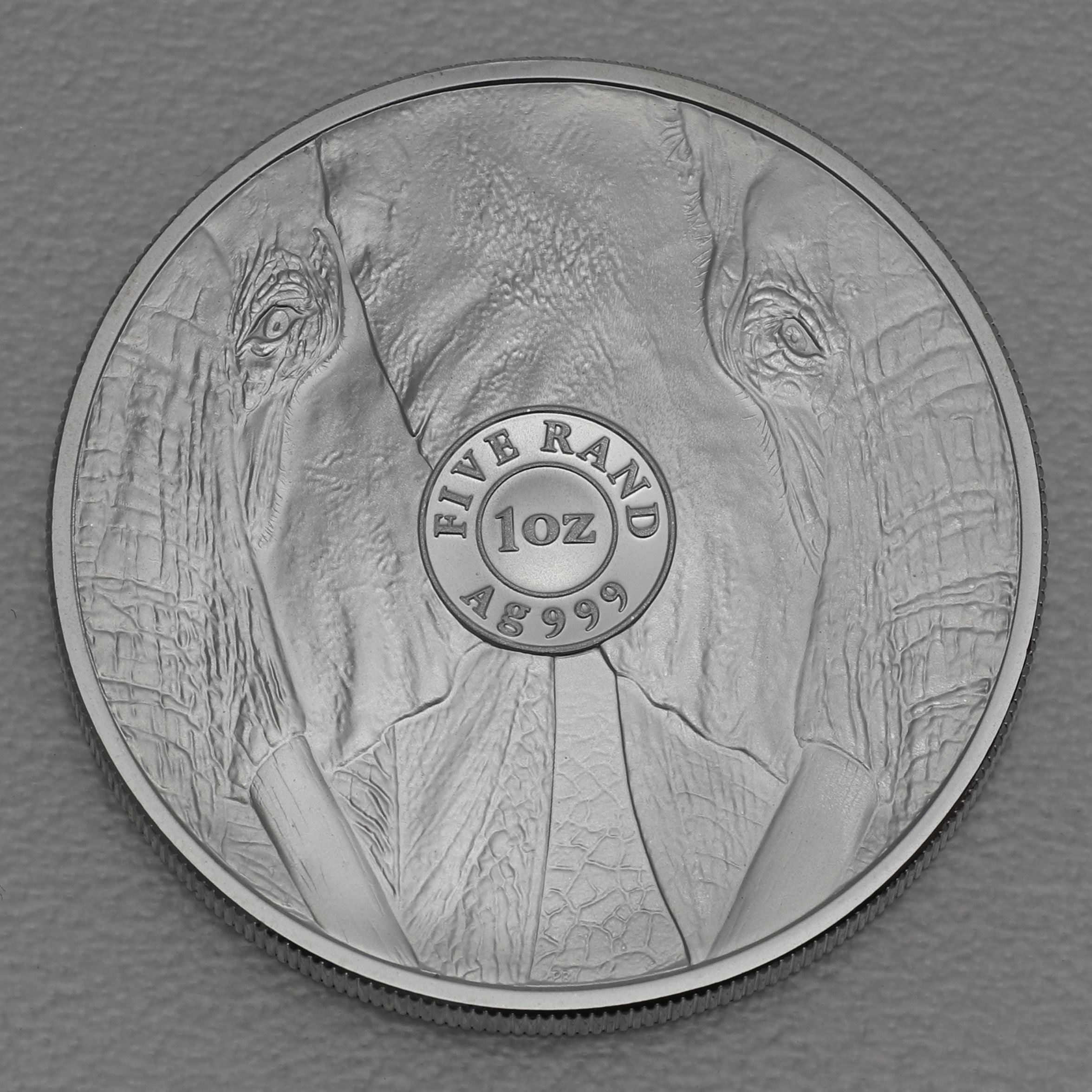 Silbermünze 1oz "Elefant" 2019 Big Five I (Südafrika) - Detailansicht 1