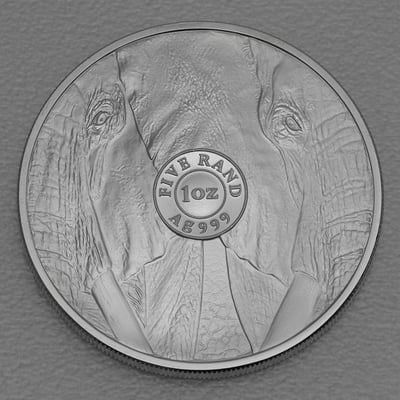 Silbermünze 1oz "Elefant" 2019 Big Five I (Südafrika) - Miniaturansicht 2