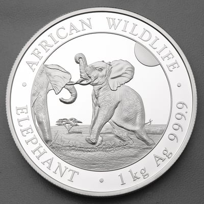 Silbermünze 1kg "Elefant" 2024 African Wildlife diff. (Somalia) - Miniaturansicht 1