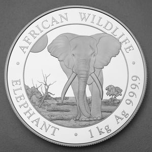 Silbermünze 1kg "Elefant" 2025 African Wildlife diff. (Somalia) - Hauptansicht