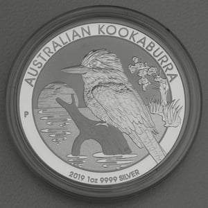 Silbermünze 1oz "Kookaburra" 2019 (Australien) - Miniaturansicht 3
