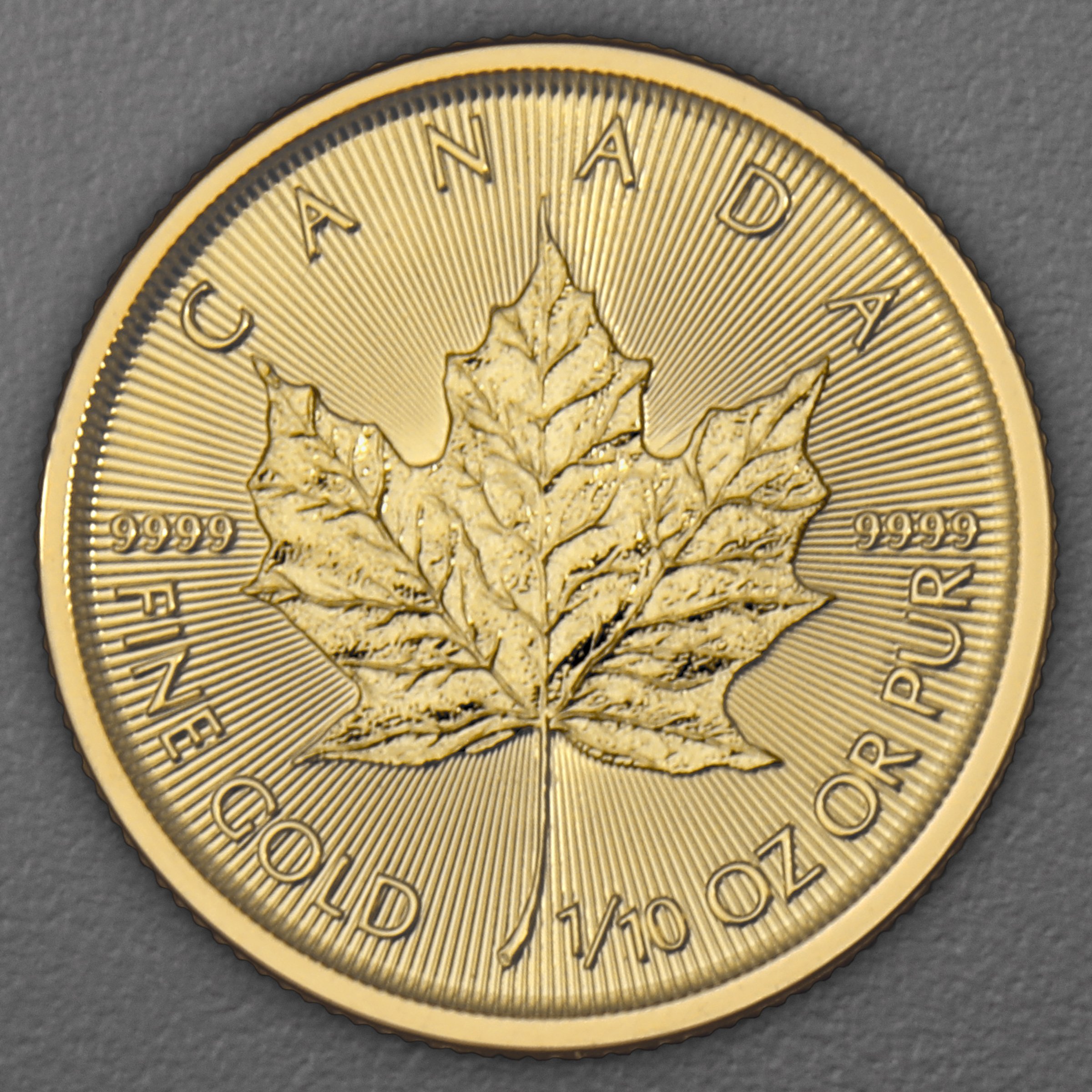 Goldmünze 1/10oz "Maple Leaf" aktueller Jahrgang (Kanada) - Hauptansicht