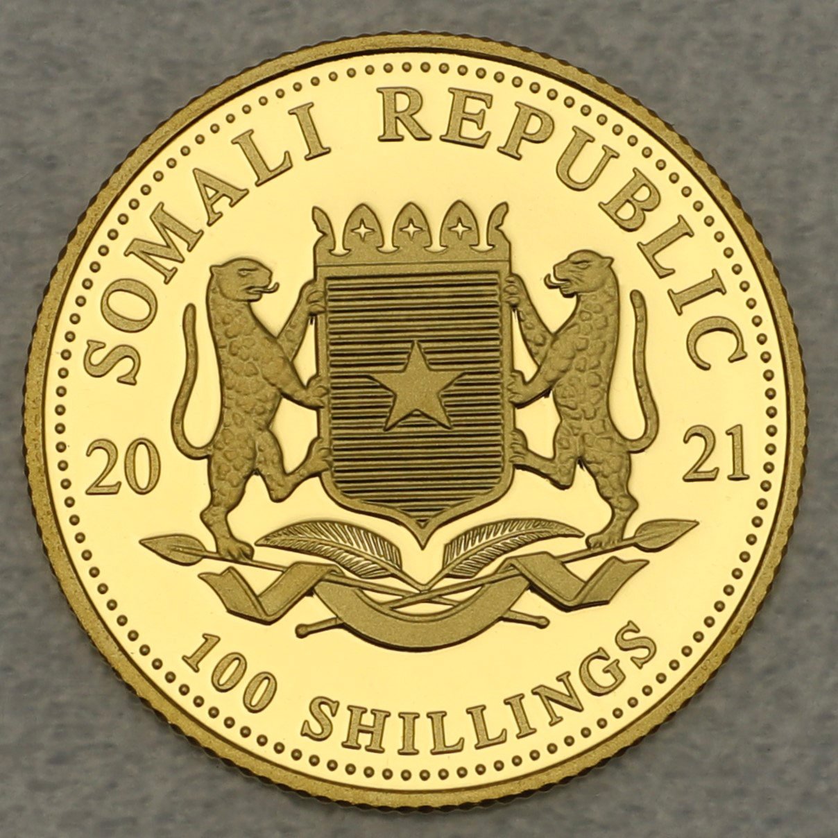 Goldmünze 1/10oz "Elefant" 2021 African Wildlife (Somalia) - Detailansicht 1