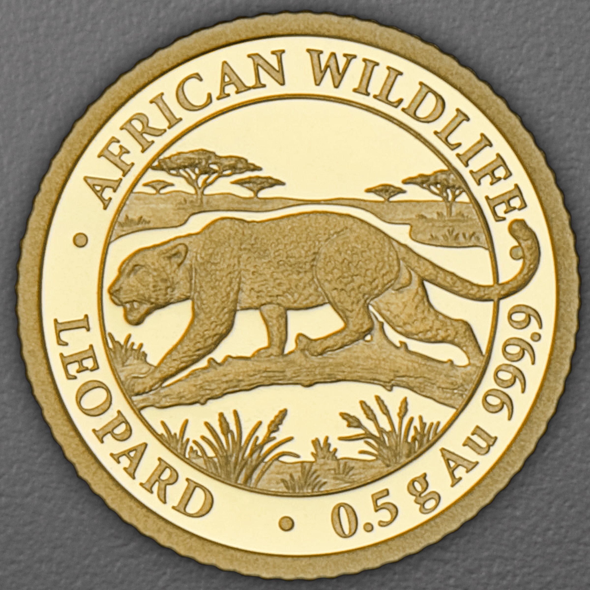 Goldmünze 0,5g "Leopard" 2026 (PP) African Wildlife (Somalia) - Hauptansicht