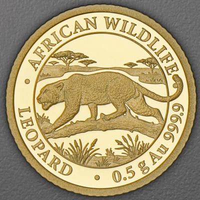 Goldmünze 0,5g "Leopard" 2026 (PP) African Wildlife (Somalia) - Hauptansicht