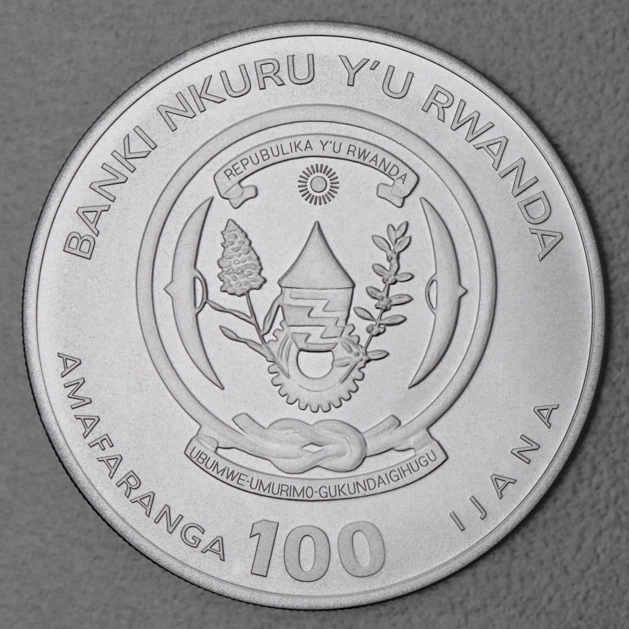 Platinmünze 1oz "Krokodil" 2023 African Ounce (Ruanda) - Detailansicht 1