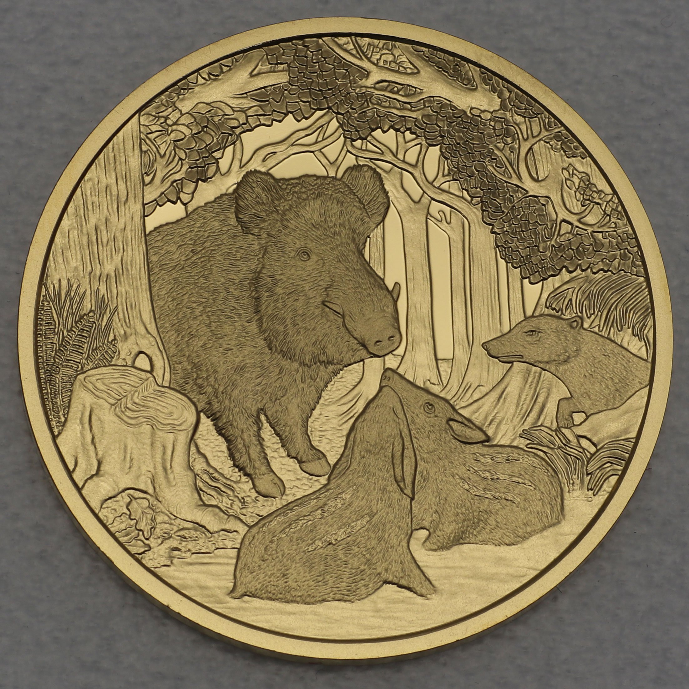 Goldmünze 100 Euro "Wildschwein" 2014 Unseren Wildtieren auf der Spur (Österreich) - Detailansicht 1