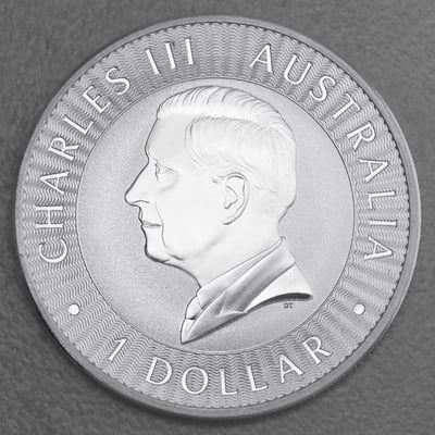 Silbermünze 1oz "Känguru" aktueller Jahrgang diff. (Australien) - Miniaturansicht 2