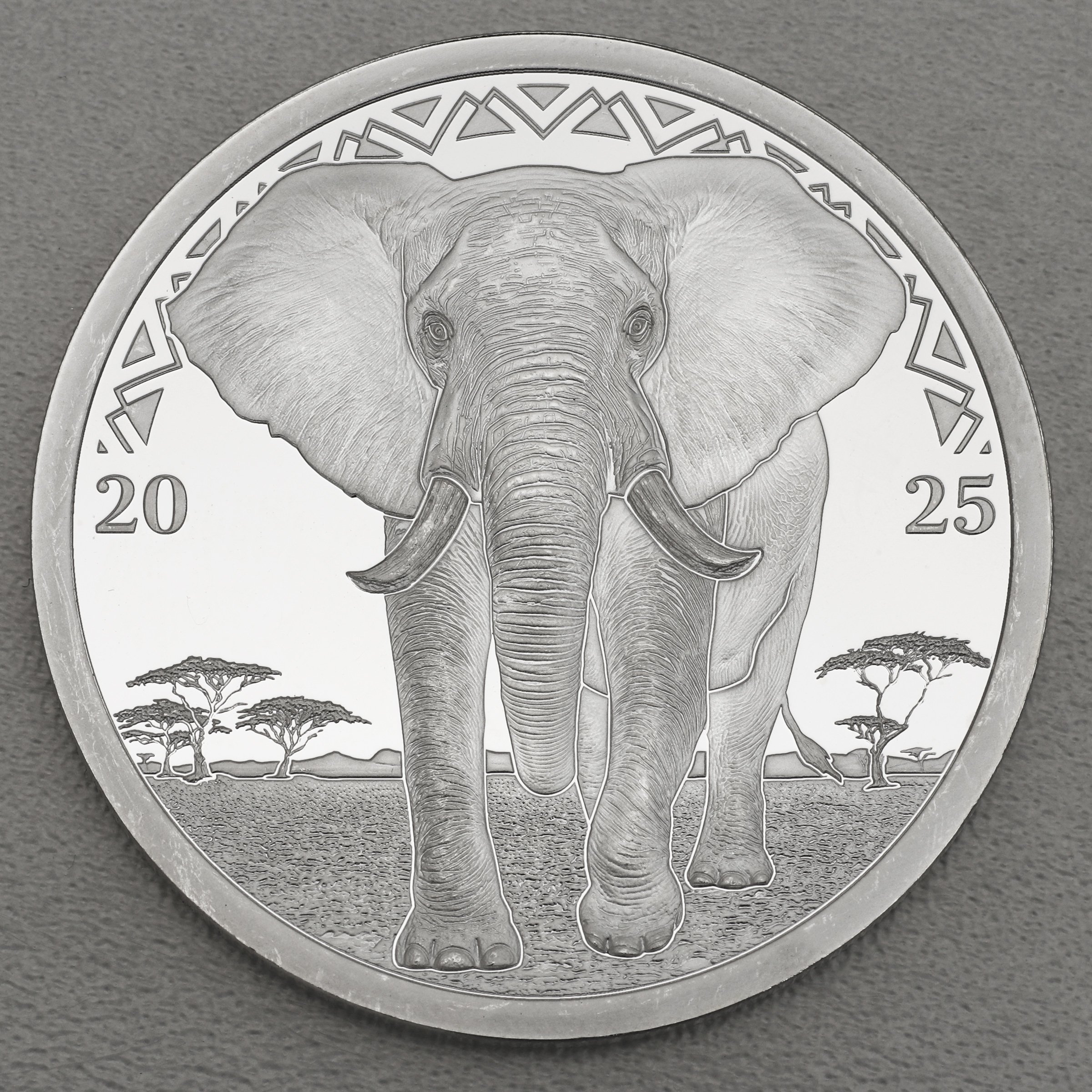 Silbermünze 1oz "Elefant" 2025 (PP) Big Five (Liberia) - Hauptansicht