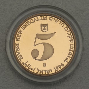 Goldmünze 5 New Sheqalim "Welt" 1994 Unabhängigkeitstag (Israel) - Miniaturansicht 2