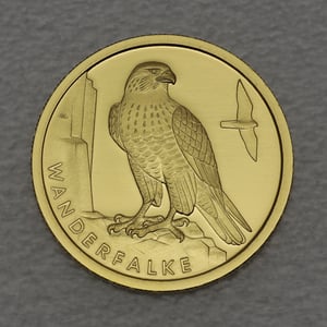Goldmünze 20 Euro "Wanderfalke" 2019 Heimische Vögel (Deutschland) - Hauptansicht