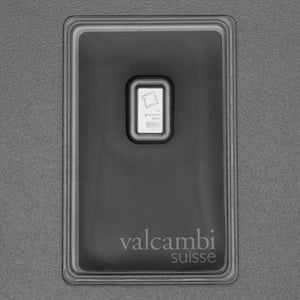 Platinbarren 1g VALCAMBI (Pt) - Hauptansicht