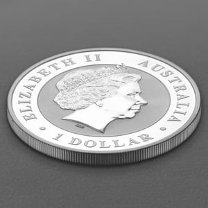 Silbermünze 1oz "Kookaburra" 2013 (Australien) - Miniaturansicht 4