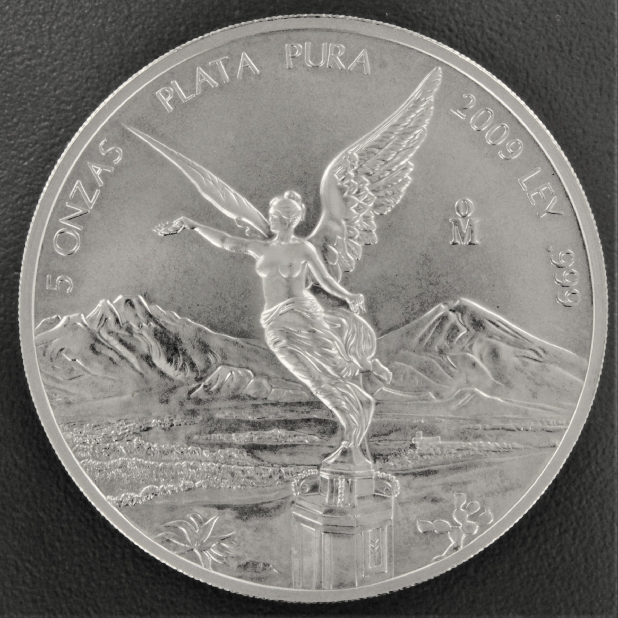 Silbermünze 5oz "Libertad" 2009 (Mexiko) - Hauptansicht