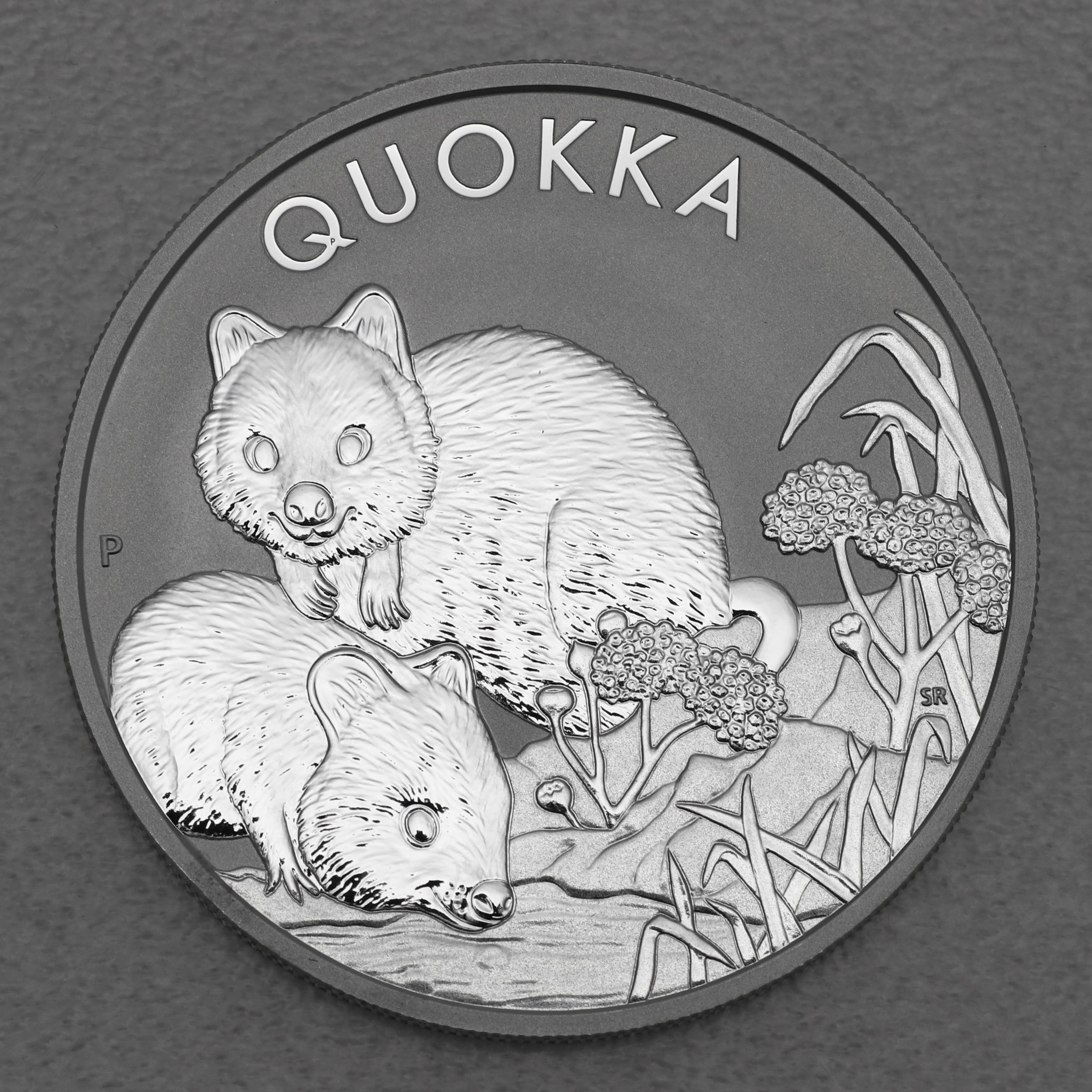 Silbermünze 1oz "Quokka" 2022 diff. (Australien) - Hauptansicht