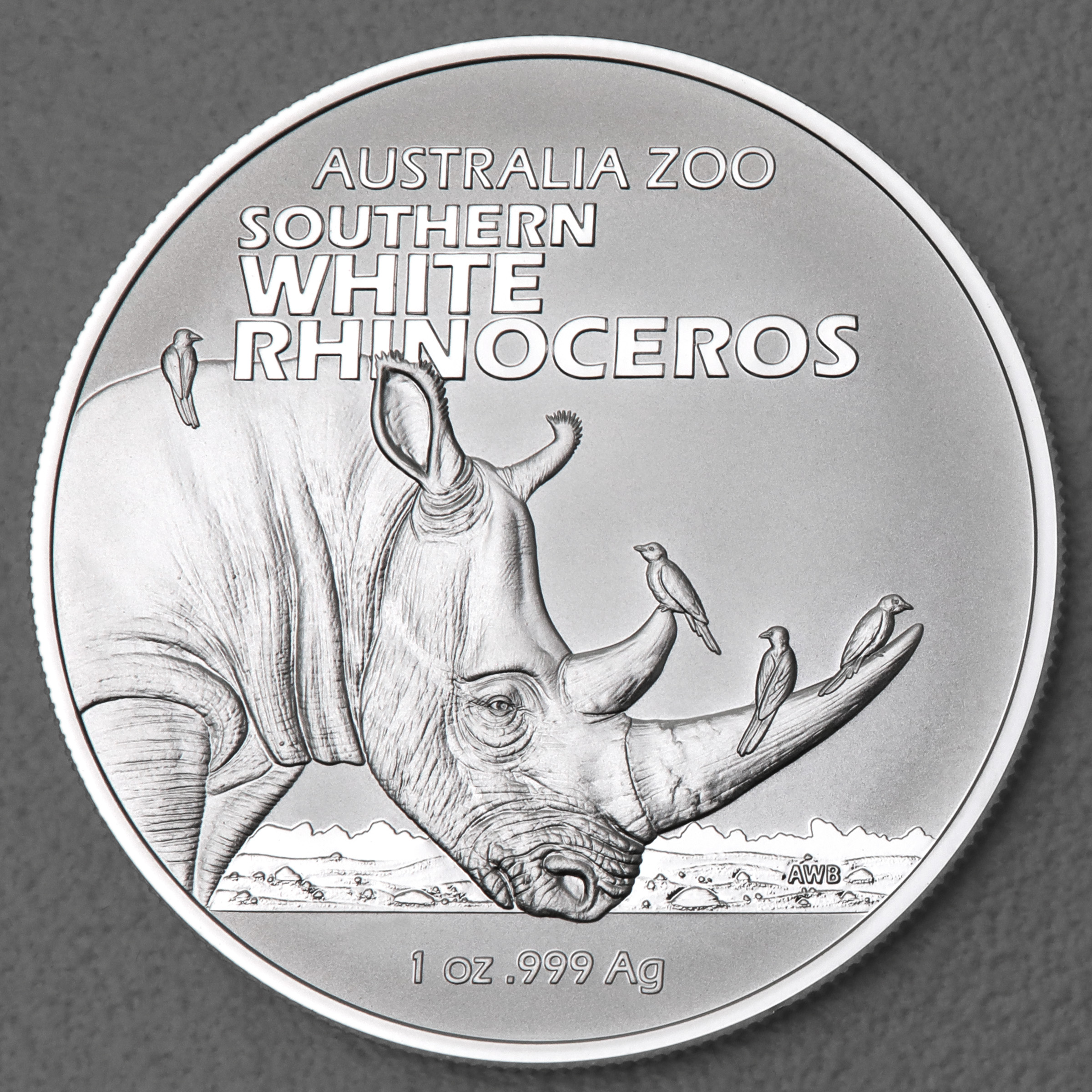 Silbermünze 1oz "Südliches Breitmaulnashorn" 2023 Australia Zoo 19% (Australien) - Hauptansicht