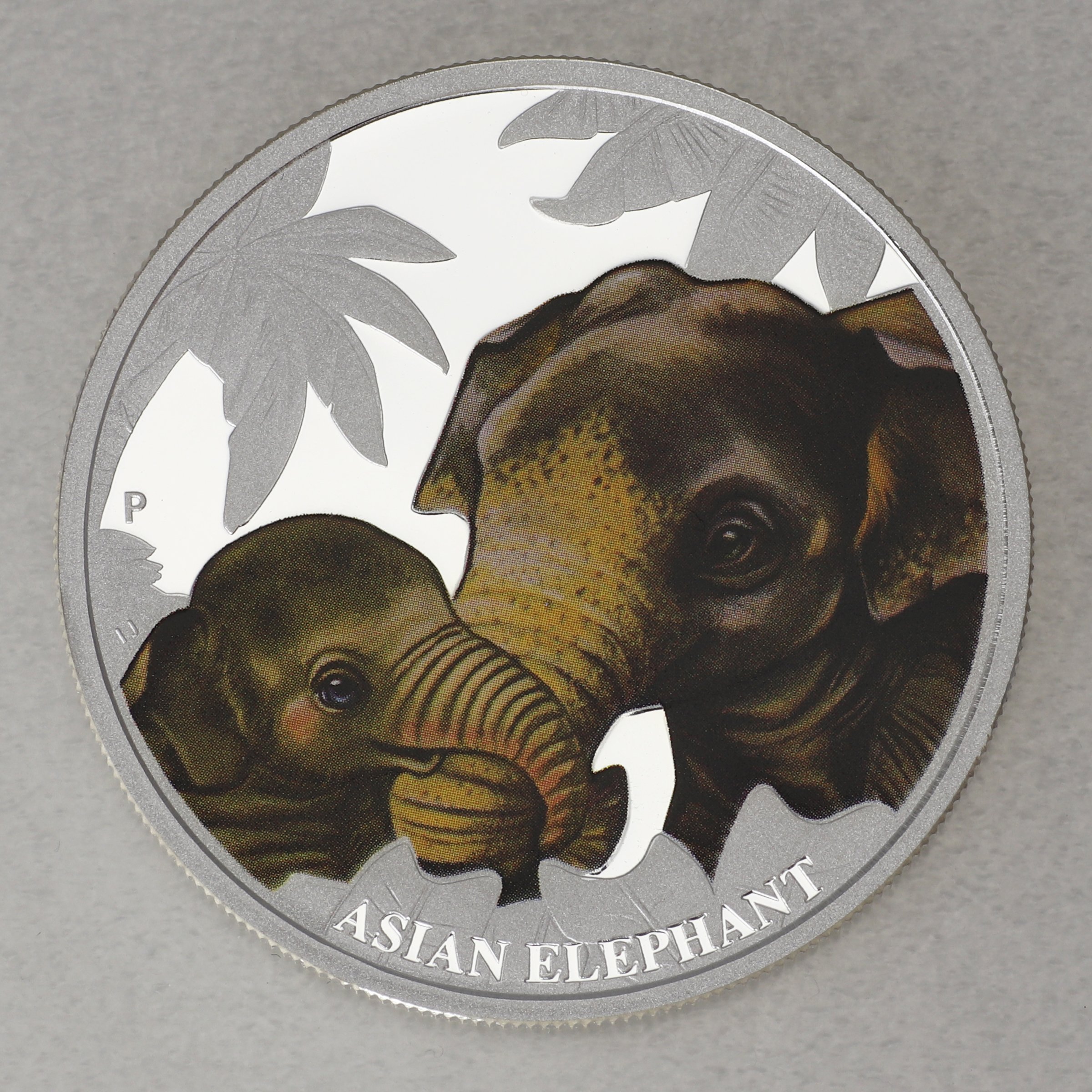 Silbermünze 1/2oz "Asian Elephant 2014" (Tuvalu) Mother s Love Serie (Tuvalu) - Hauptansicht