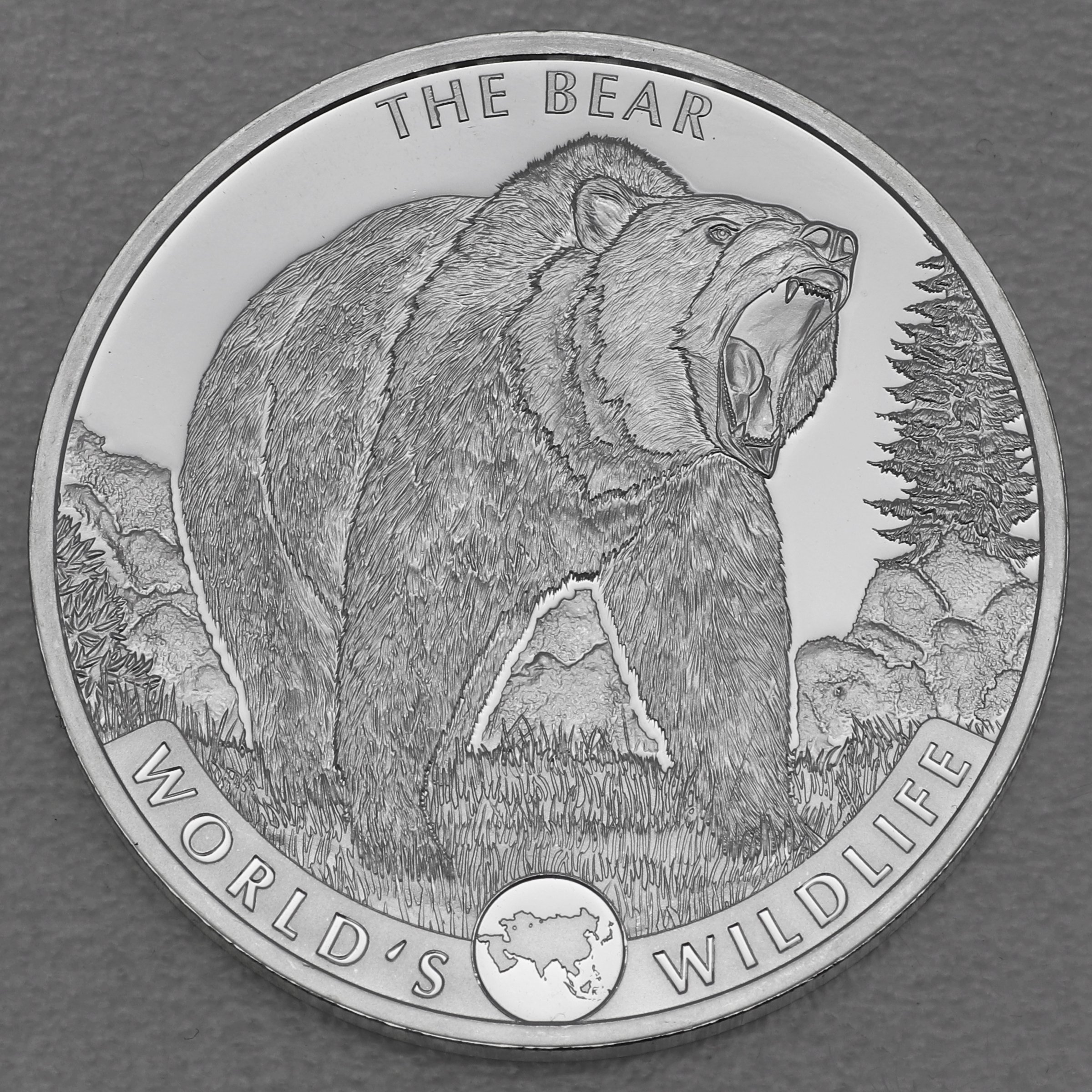Silbermünze 1oz "Bär" 2022 World s Wildlife (Kongo) - Hauptansicht