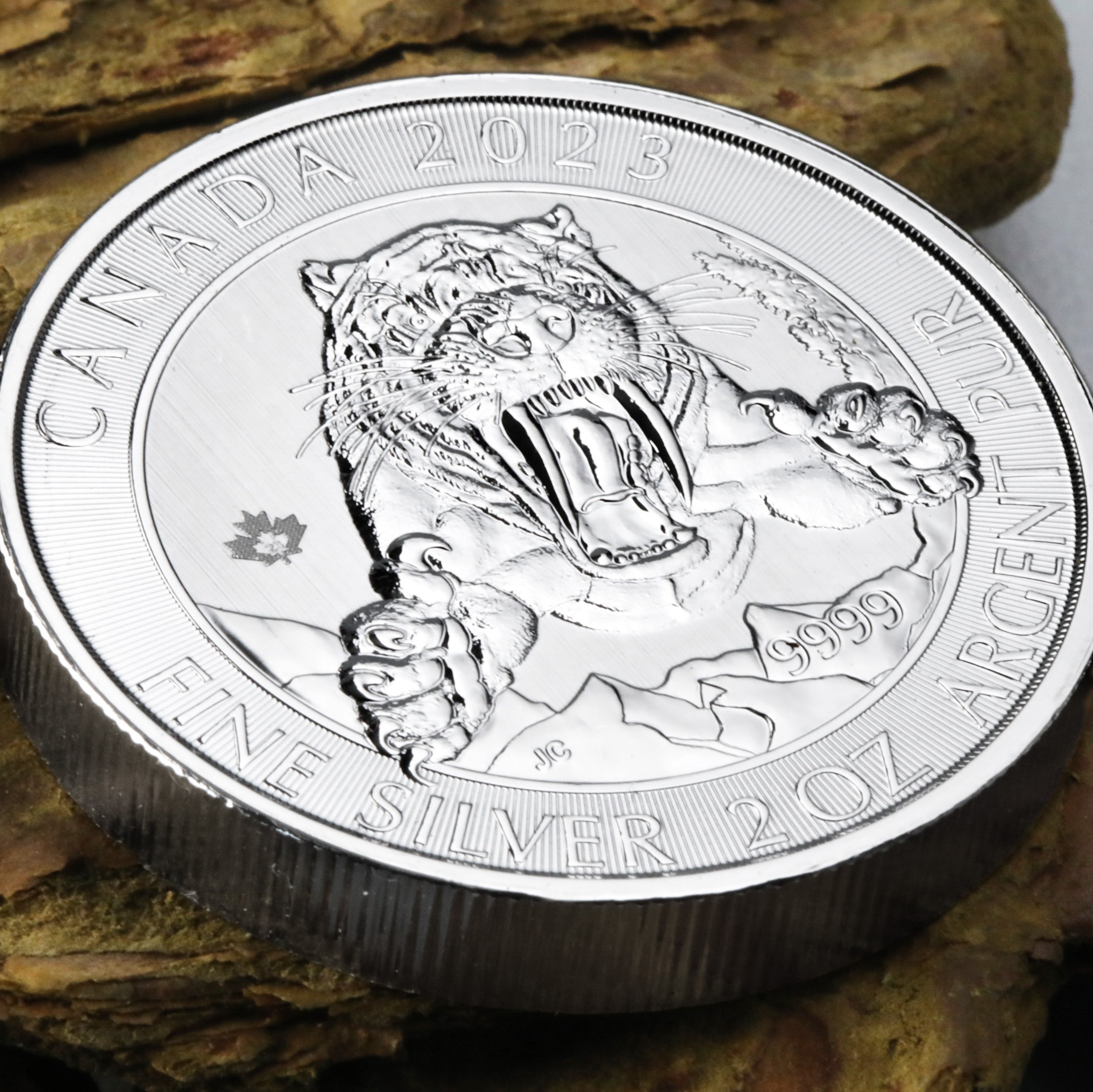 Silbermünze 2oz "Smilodon Säbelzahntiger" 2023 Ice Age 19% (Kanada) - Detailansicht 4