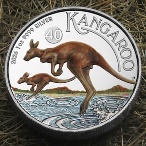 Silbermünze 1oz "Känguru" 2026 (PP/HR/koloriert) (Australien) - Miniaturansicht 5