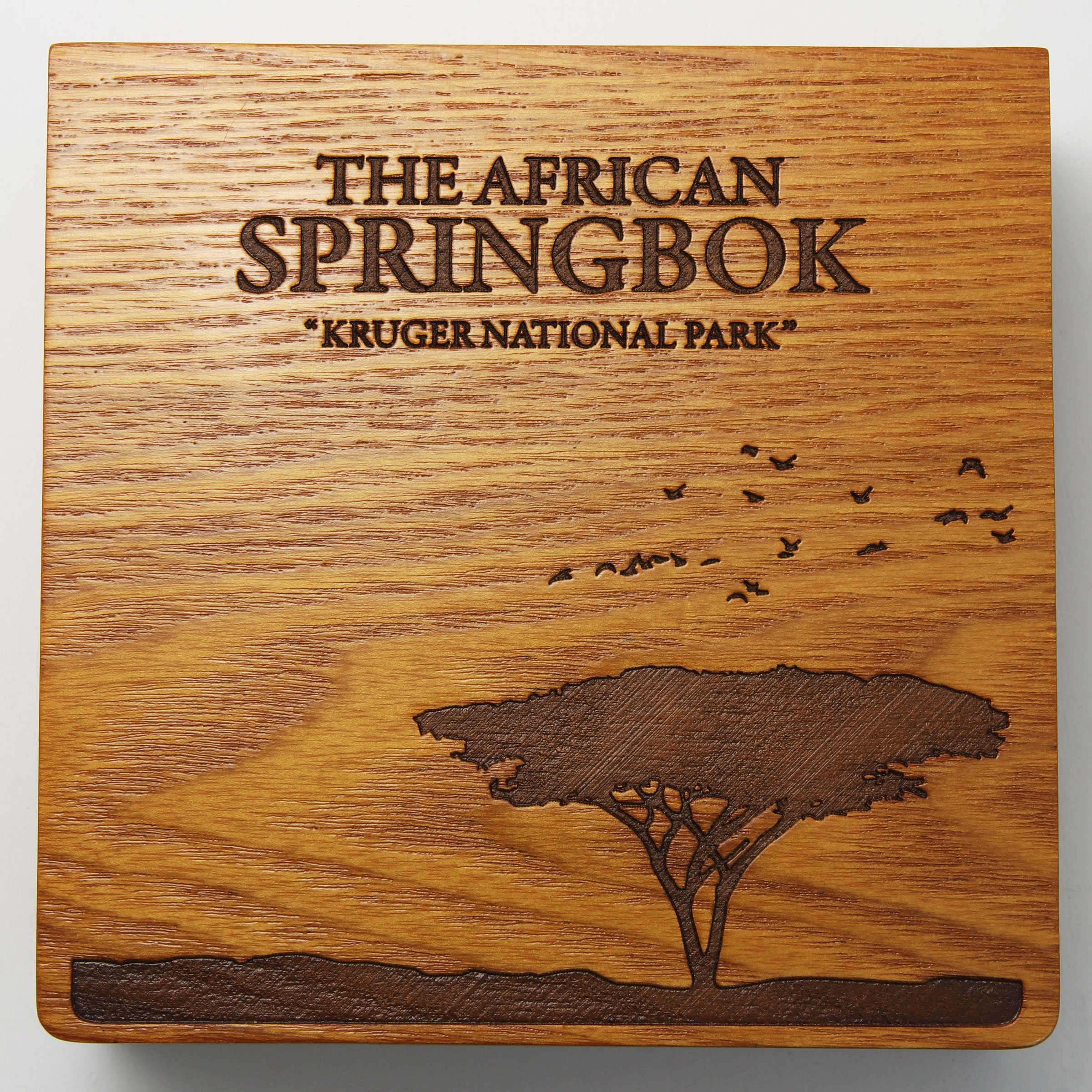 Silbermünze 5oz "African Springbock" 2014 (PP) Kruger National Park (Gabun) - Detailansicht 4