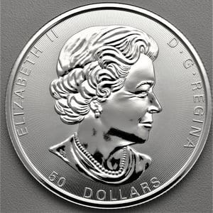 Silbermünze 10oz "Maple Leaf" 2018 Magnificent (Kanada) - Miniaturansicht 1