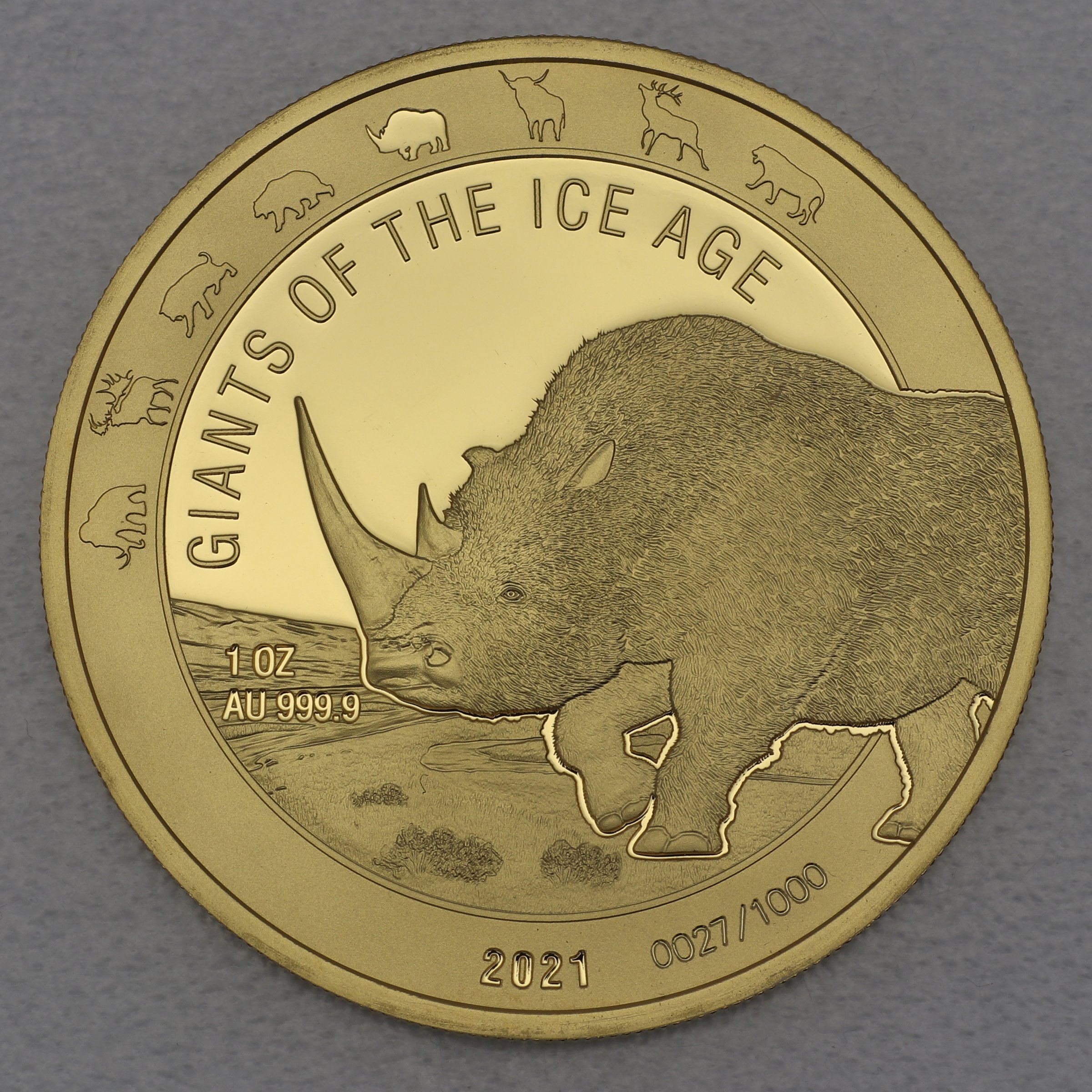 Goldmünze 1oz "Wollnashorn" 2021 Giants of Ice Age (Ghana) - Hauptansicht