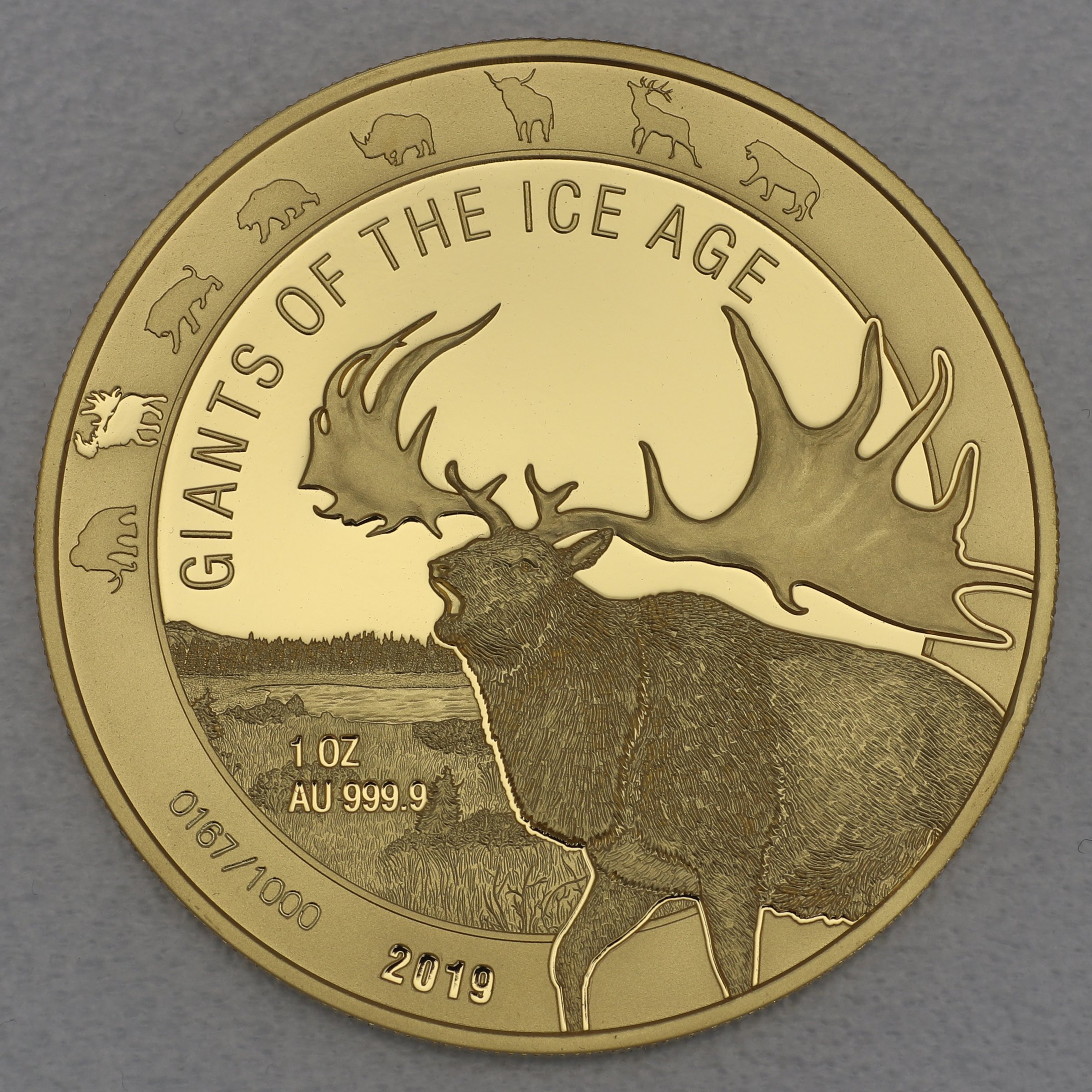 Goldmünze 1oz "Riesenhirsch" 2019 Giants of Ice Age (Ghana) - Hauptansicht