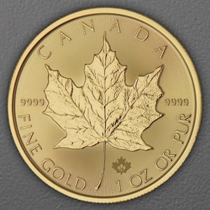 Goldmünze 1oz "Maple Leaf" aktueller Jahrgang (Kanada) - Hauptansicht