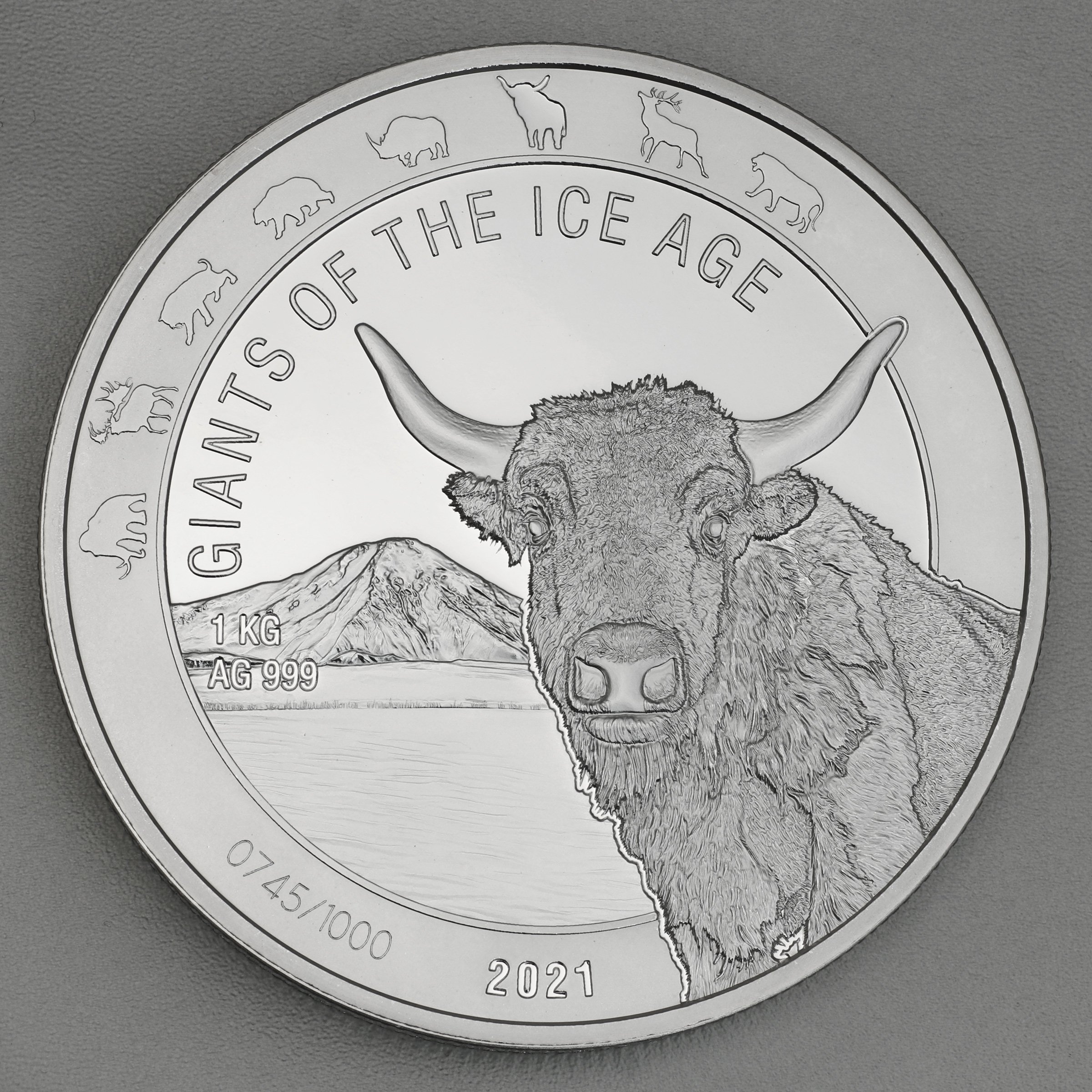 Silbermünze 1kg "Auerochse" 2021 Giants of Ice Age (Ghana) - Hauptansicht