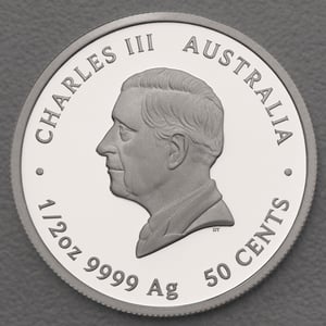 Silbermünze 1/2oz "Newborn" 2024 (PP/koloriert) (Australien) - Miniaturansicht 2