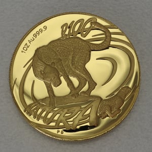 Goldmünzen "The Cheetah" 2002 Natura Set 4-teilig Wild Cats of Africa (Südafrika - Miniaturansicht 3