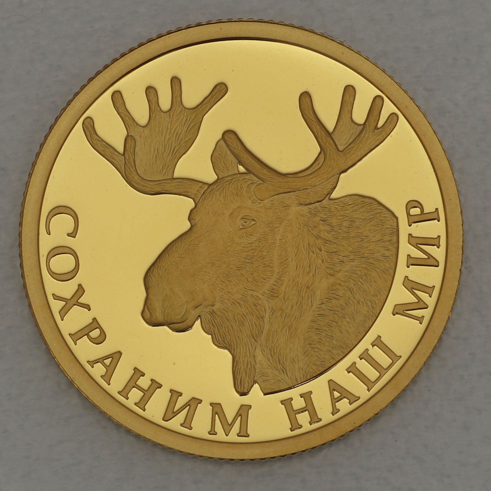 Goldmünze 50 Rubel "Elch" 2015 Protect our World (Russland) - Hauptansicht