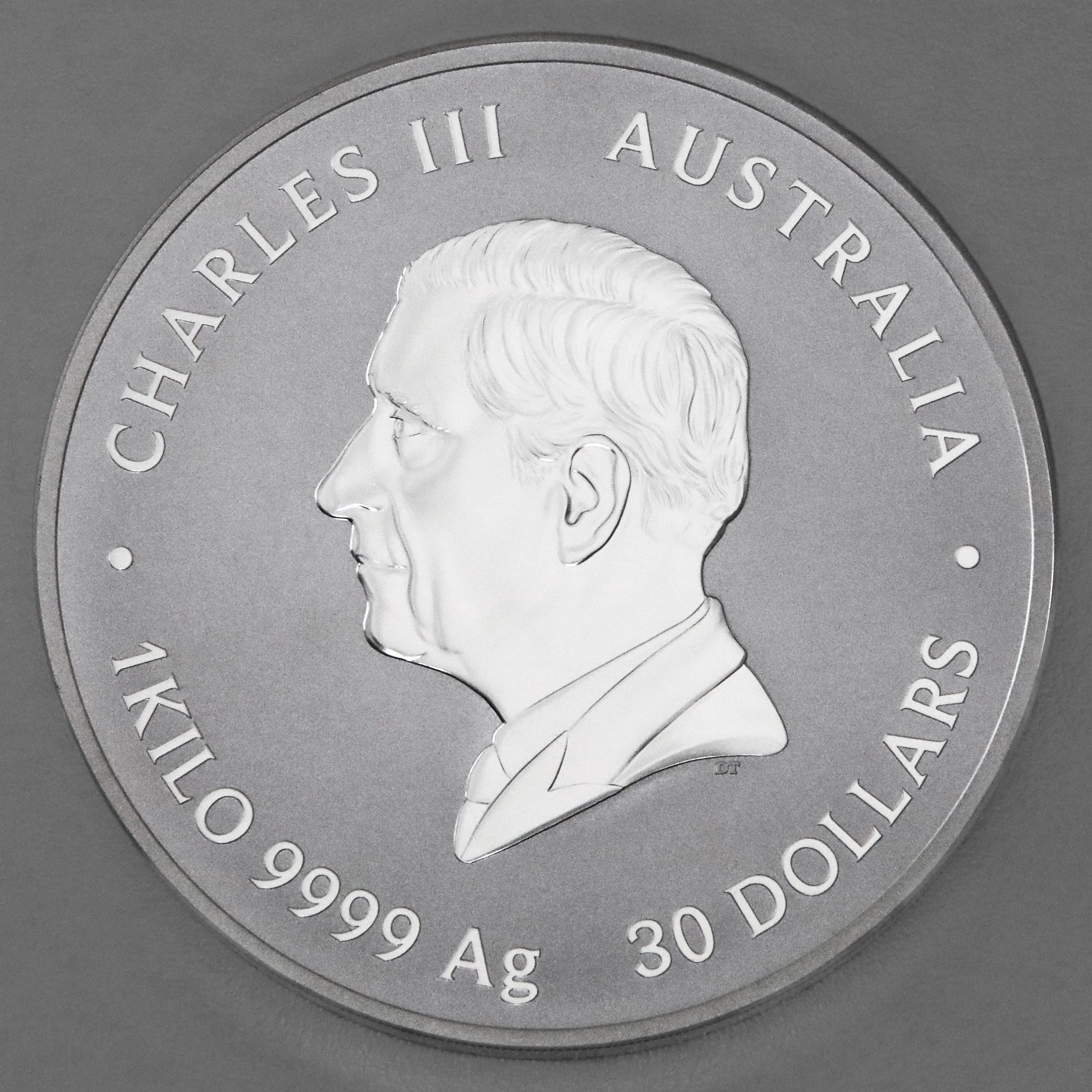 Silbermünze 1kg "Schlange" 2025 Lunar III – Year of the Snake (Australien) - Detailansicht 1