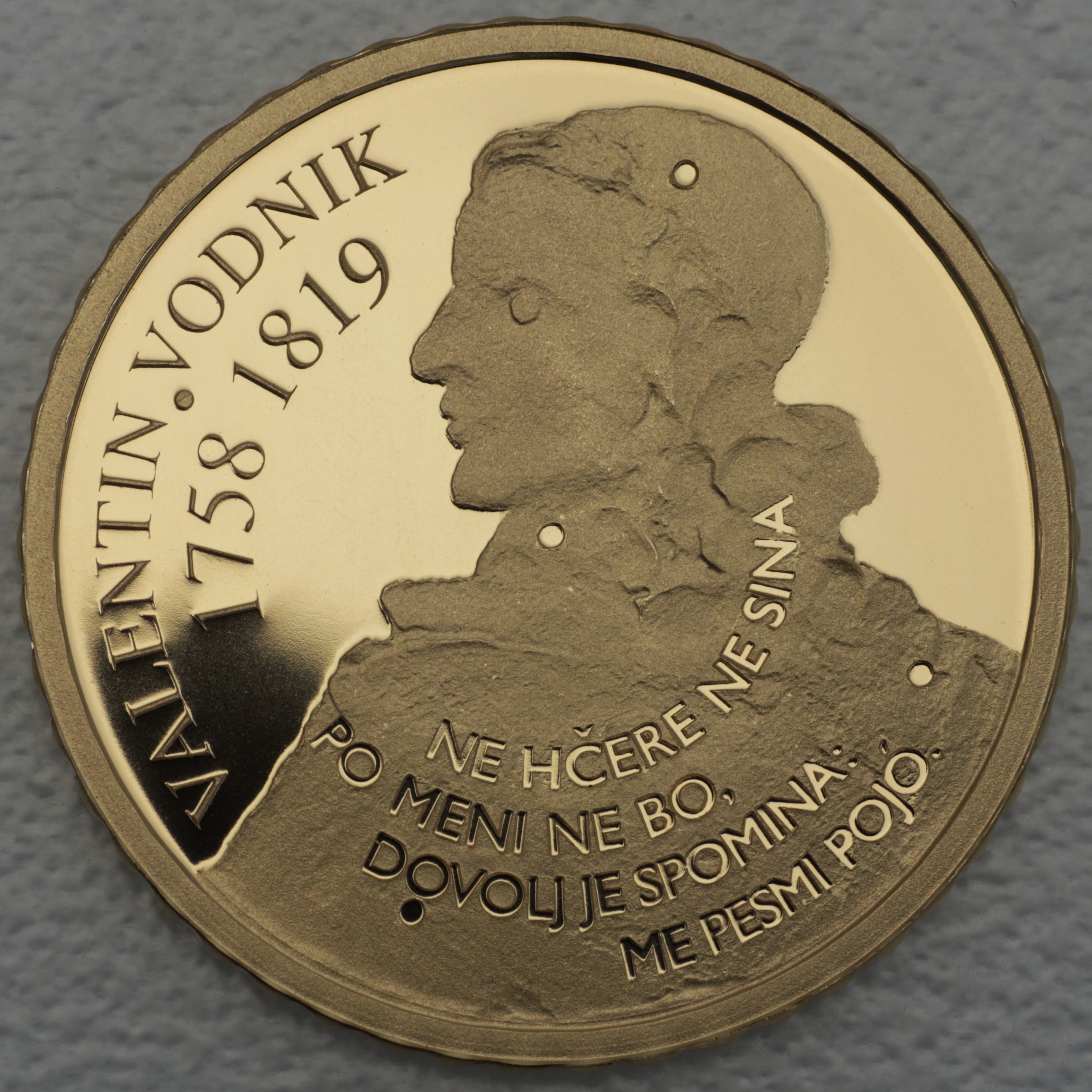 Goldmünze "100 Euro" 2008 Vodnik (Slowenien) - Hauptansicht