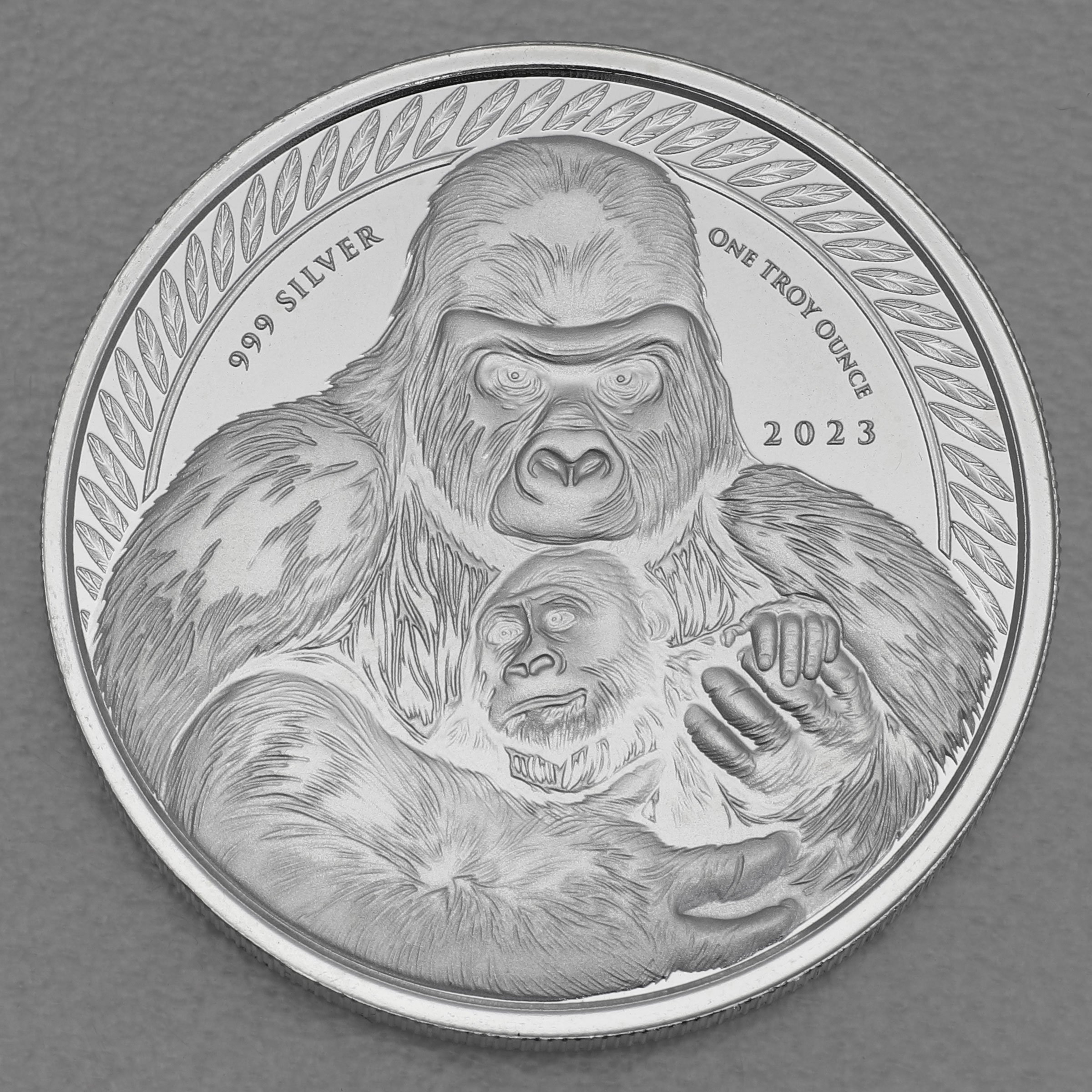 Silbermünze 1oz "Silberrücken Gorilla" 2023 (Kongo) - Hauptansicht