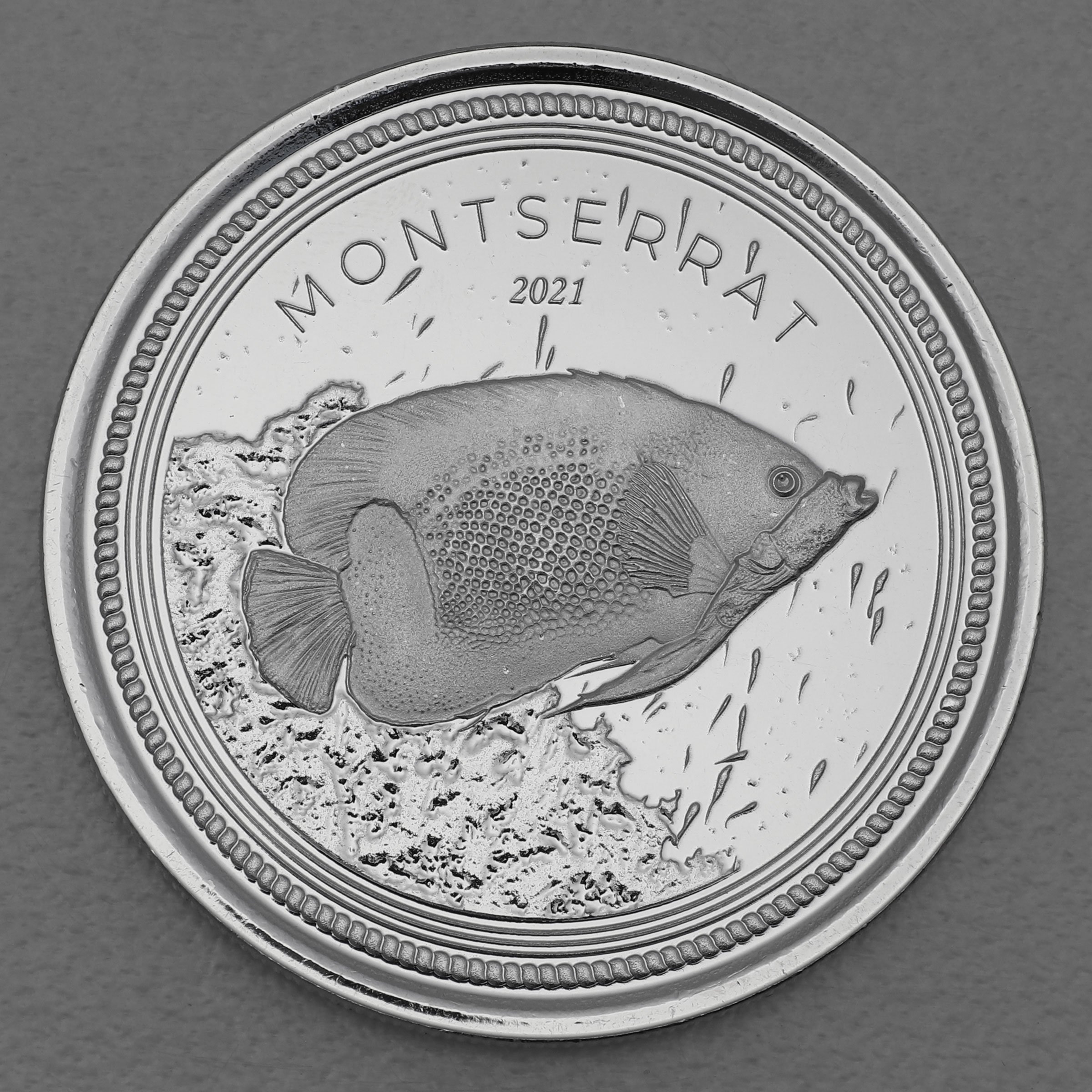 Silbermünze 1oz "Blue Girdled Angelfish" 2021 Eastern Caribbean 8 (Montserrat) - Hauptansicht