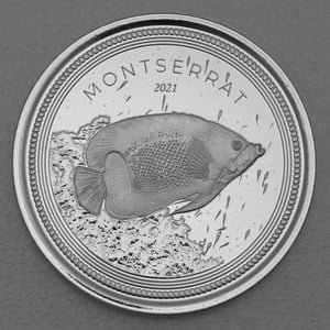 Silbermünze 1oz "Blue Girdled Angelfish" 2021 Eastern Caribbean 8 (Montserrat) - Hauptansicht