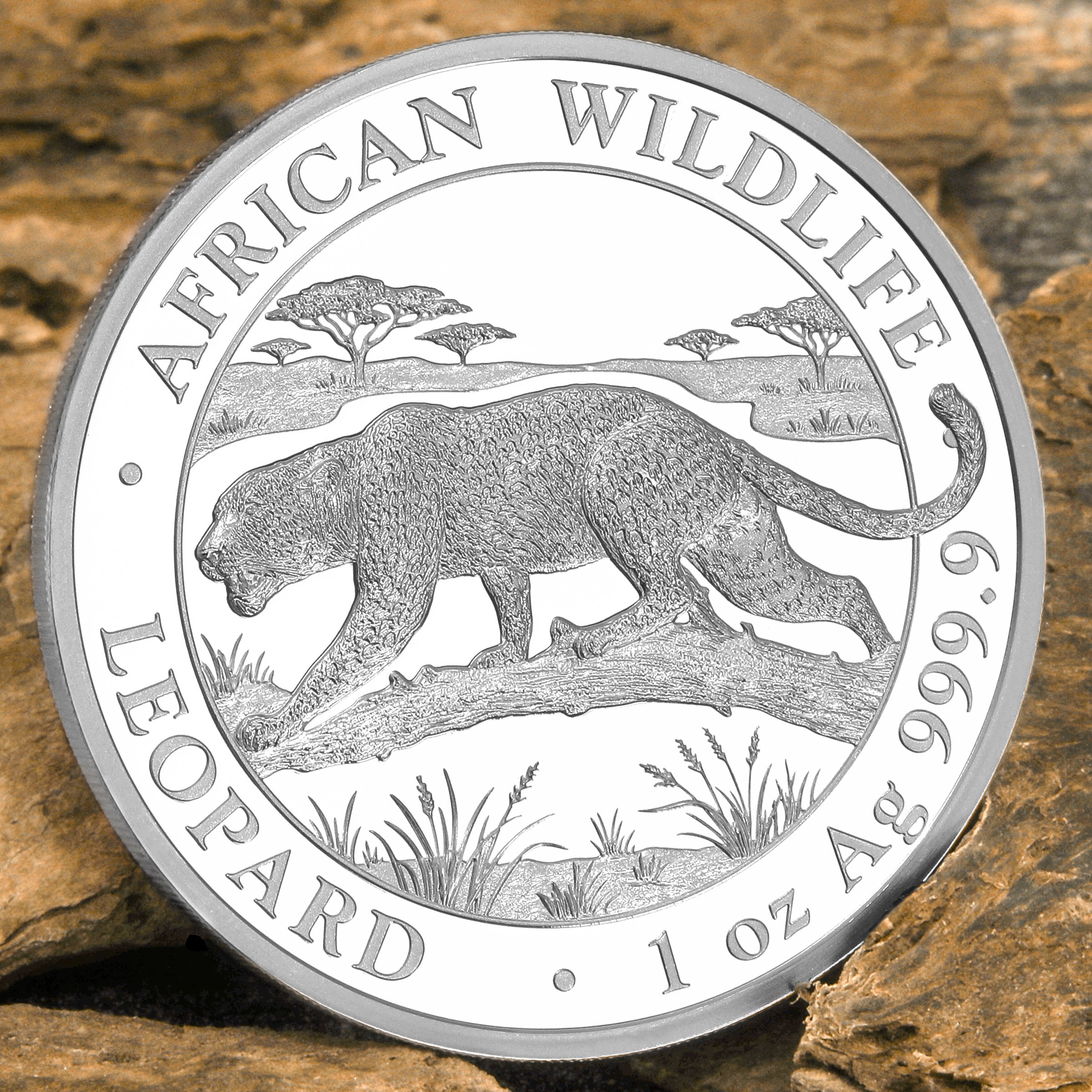 Silbermünze 1oz "Leopard" 2026 African Wildlife 19% (Somalia) - Detailansicht 4