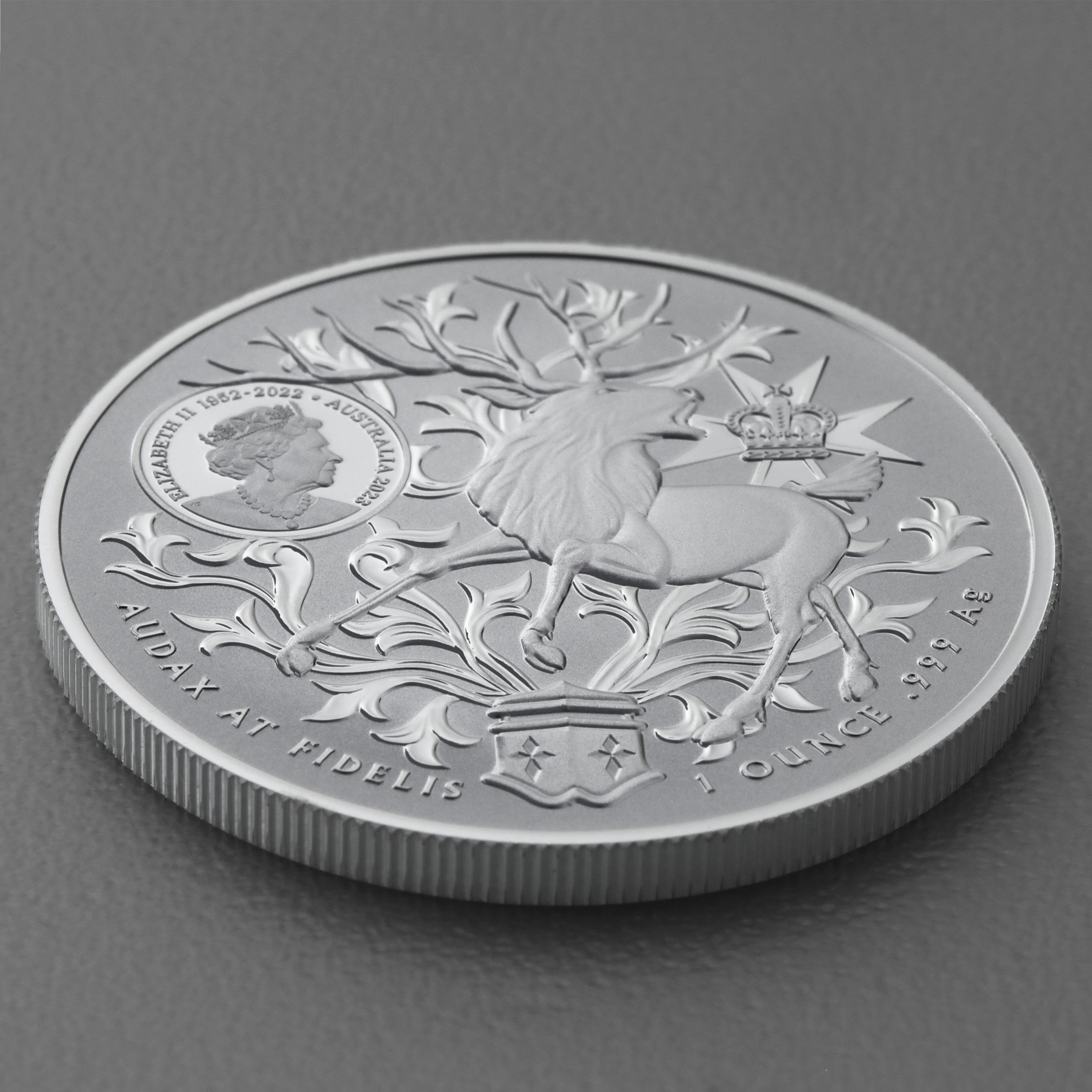 Silbermünze 1oz "Australia’s Coat of Arms" 2023 Queensland 19% (Australien) - Detailansicht 3