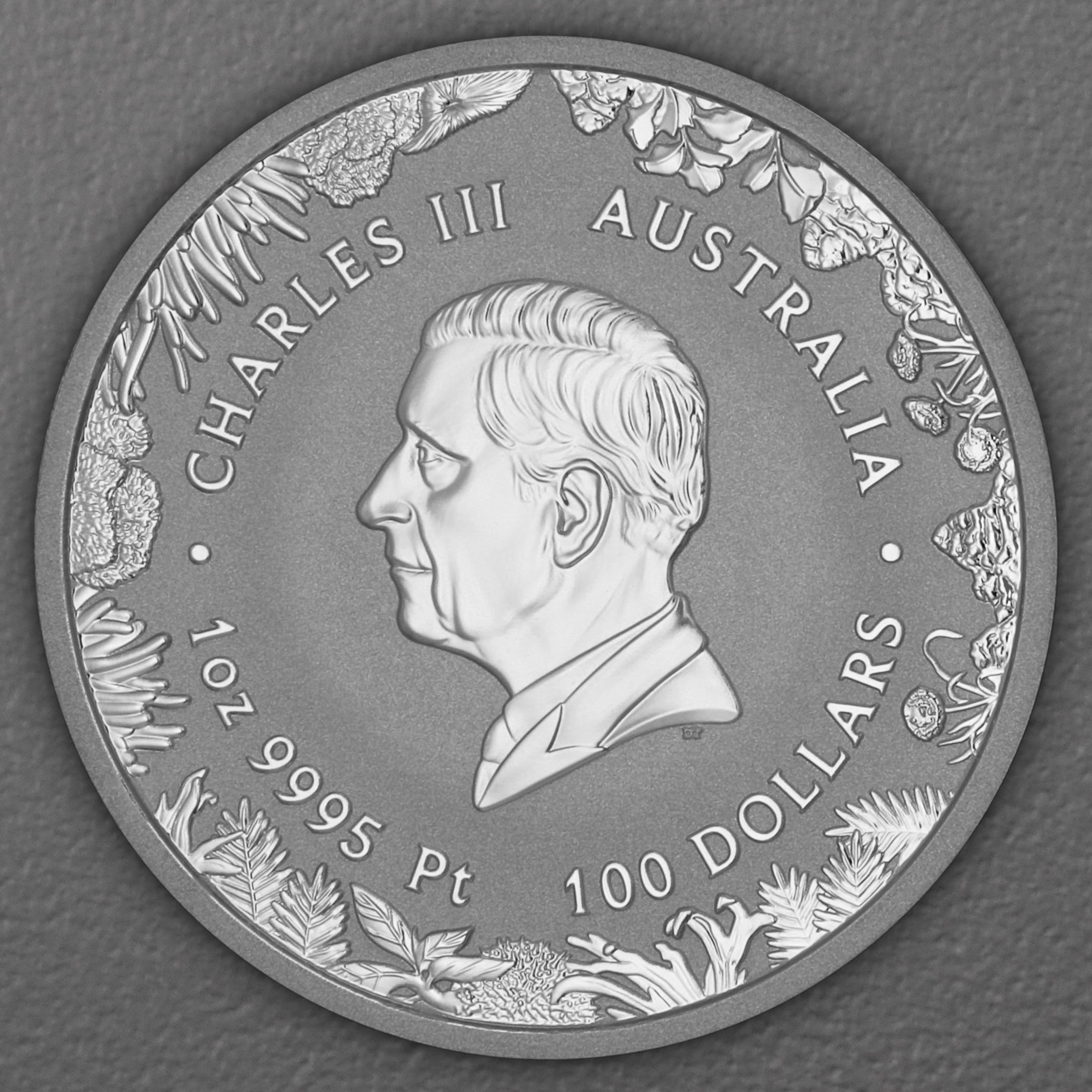 Platinmünze 1oz "The Outback" 2026 Wonders of Australia 19% (Australien) - Detailansicht 1