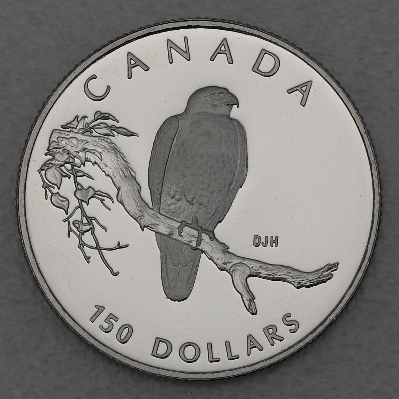 Platinmünze 1/2oz "Peregrine Falcon" 1996 Wildlife Canada (Kanada) - Hauptansicht