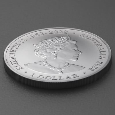 Silbermünze 1oz "Südliches Breitmaulnashorn" 2023 Australia Zoo 19% (Australien) - Miniaturansicht 4