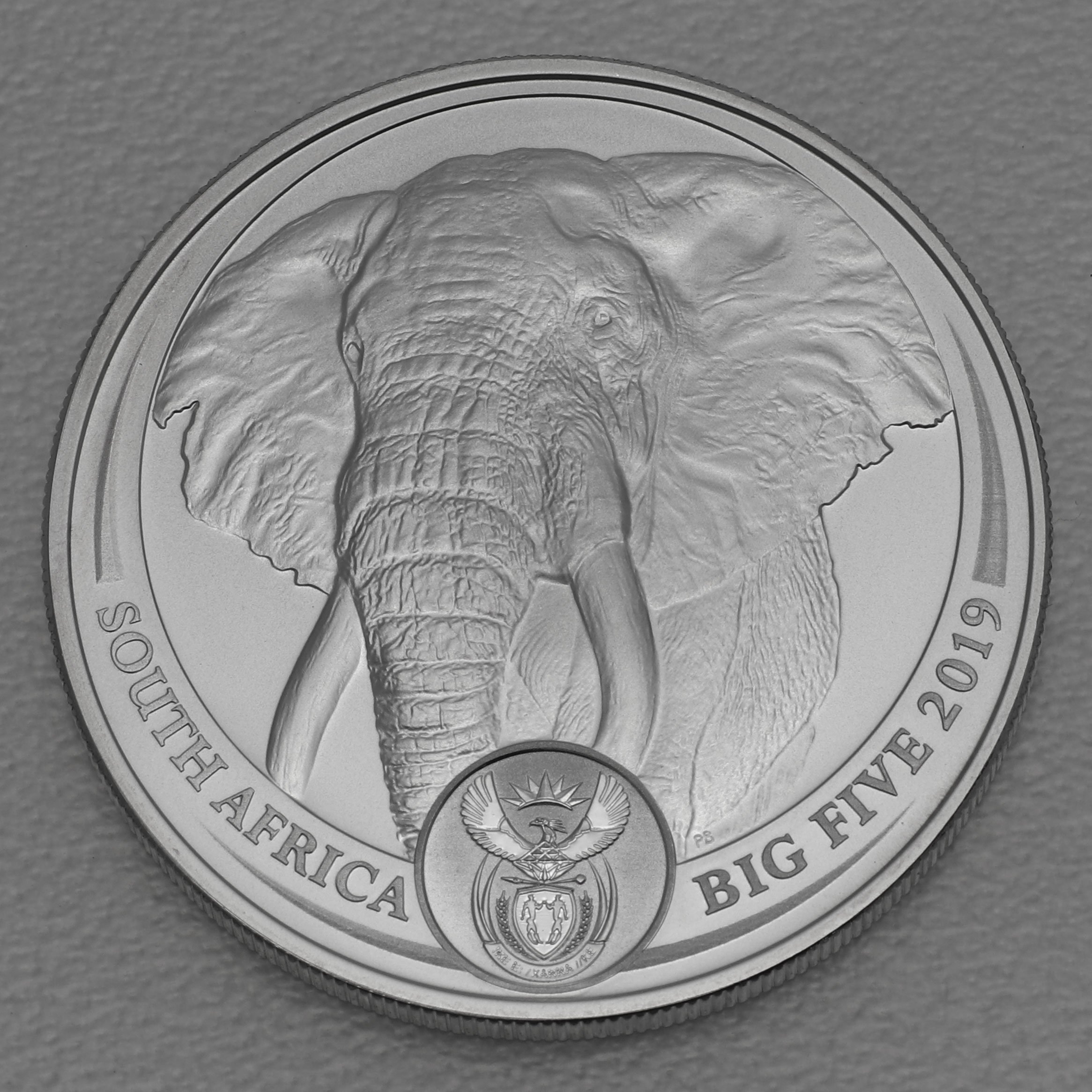 Silbermünze 1oz "Elefant" 2019 Big Five I (Südafrika) - Hauptansicht