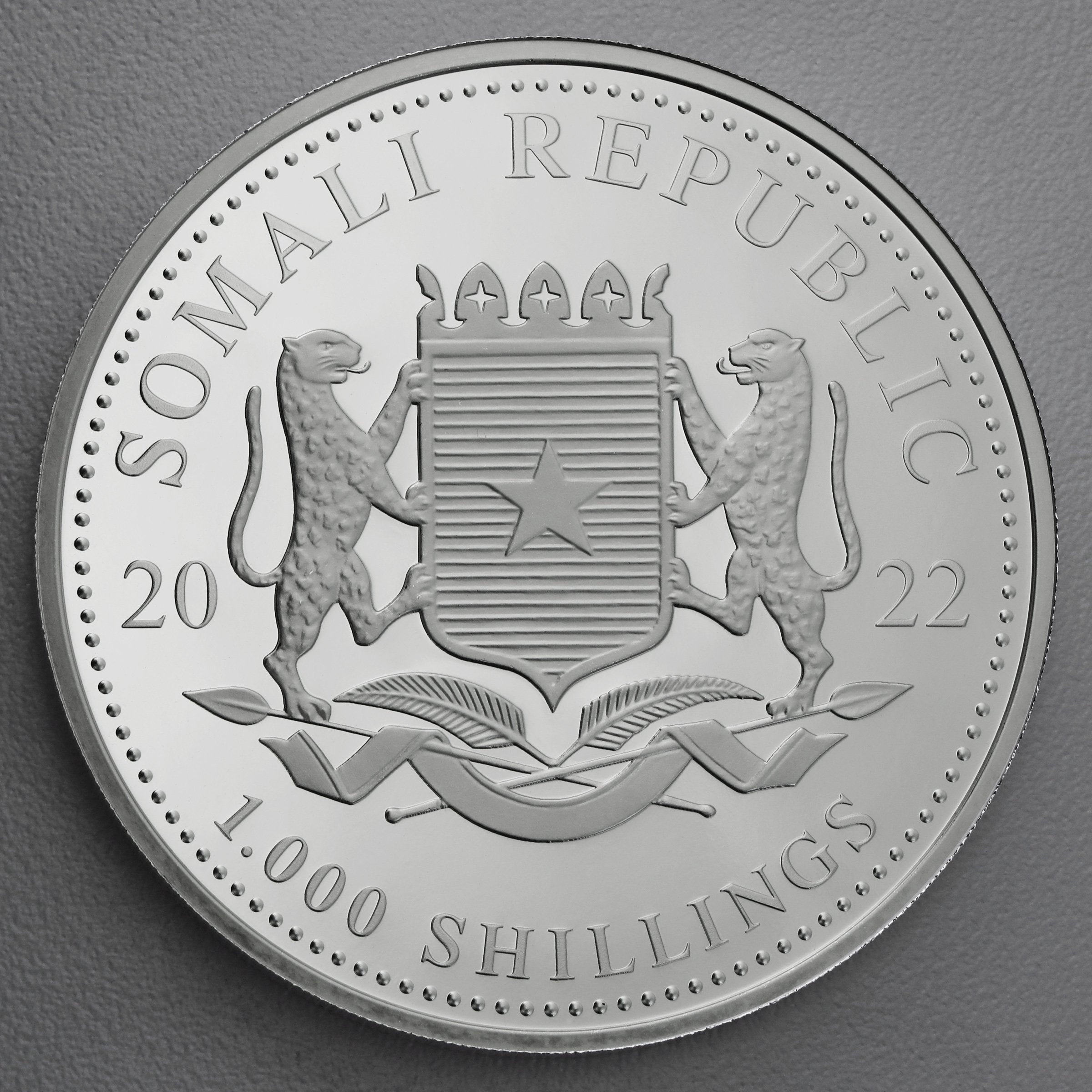 Silbermünze 10oz "Elefant" 2022 African Wildlife (Somalia) - Detailansicht 1