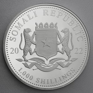 Silbermünze 10oz "Elefant" 2022 African Wildlife (Somalia) - Miniaturansicht 2