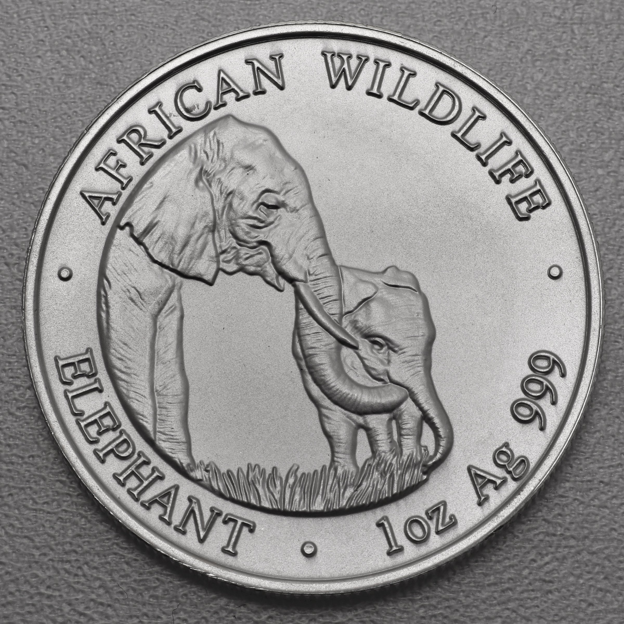 Silbermünze 1oz "Zambia Elefant" 2001 African Wildlife diff. (Sambia) - Hauptansicht