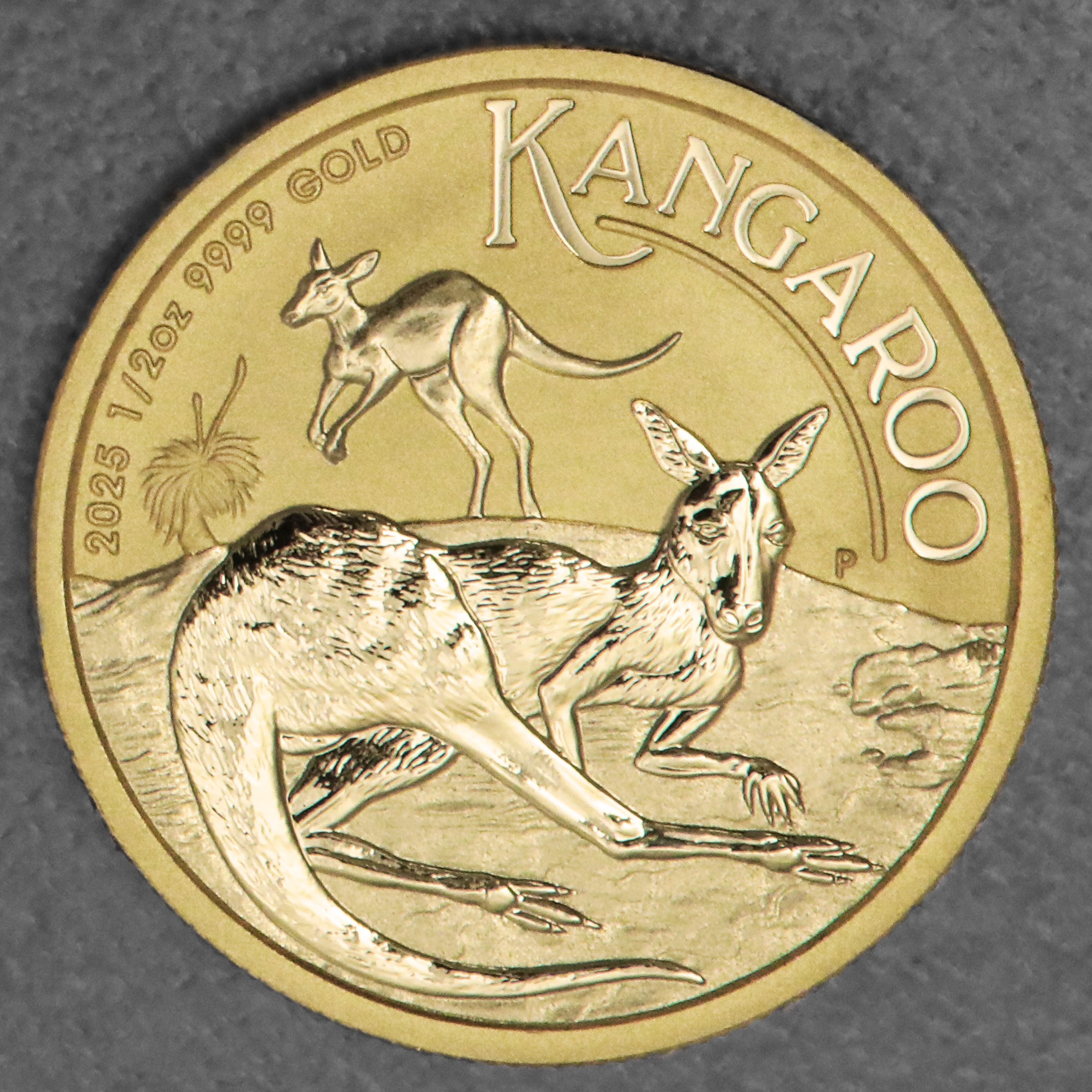 Goldmünze 1/2oz "Känguru" 2025 (Australien) - Hauptansicht