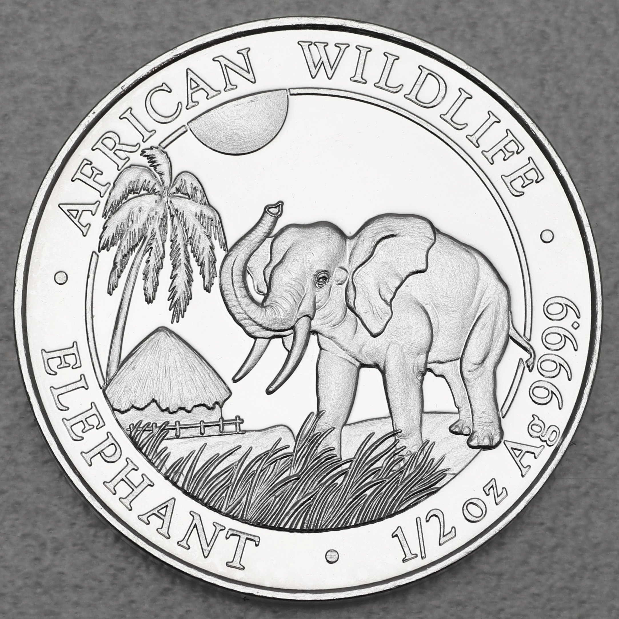 Silbermünze 1/2oz "Elefant" 2017 African Wildlife (Somalia) - Hauptansicht